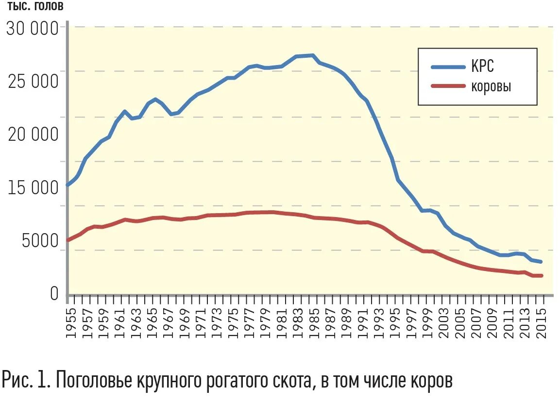 Численность крупного рогатого скота. Динамика поголовья крупного рогатого скота в россии. поголовье крс в россии по годам ссср. поголовье крс в рсфср/рф. динамика поголовья крупного рогатого скота в россии за 10 лет.
