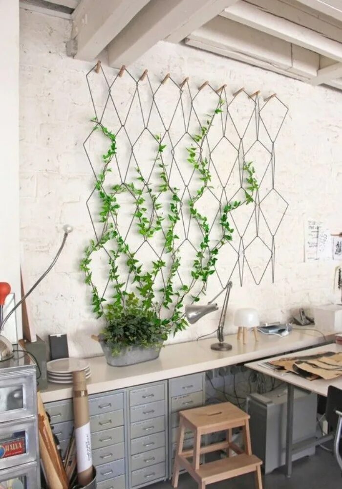 Плющ Хедера в интерьере. Декор стены растениями. Вьющиеся растения на стене в интерьере. Комнатные цветы на стене. Плющ на кухне