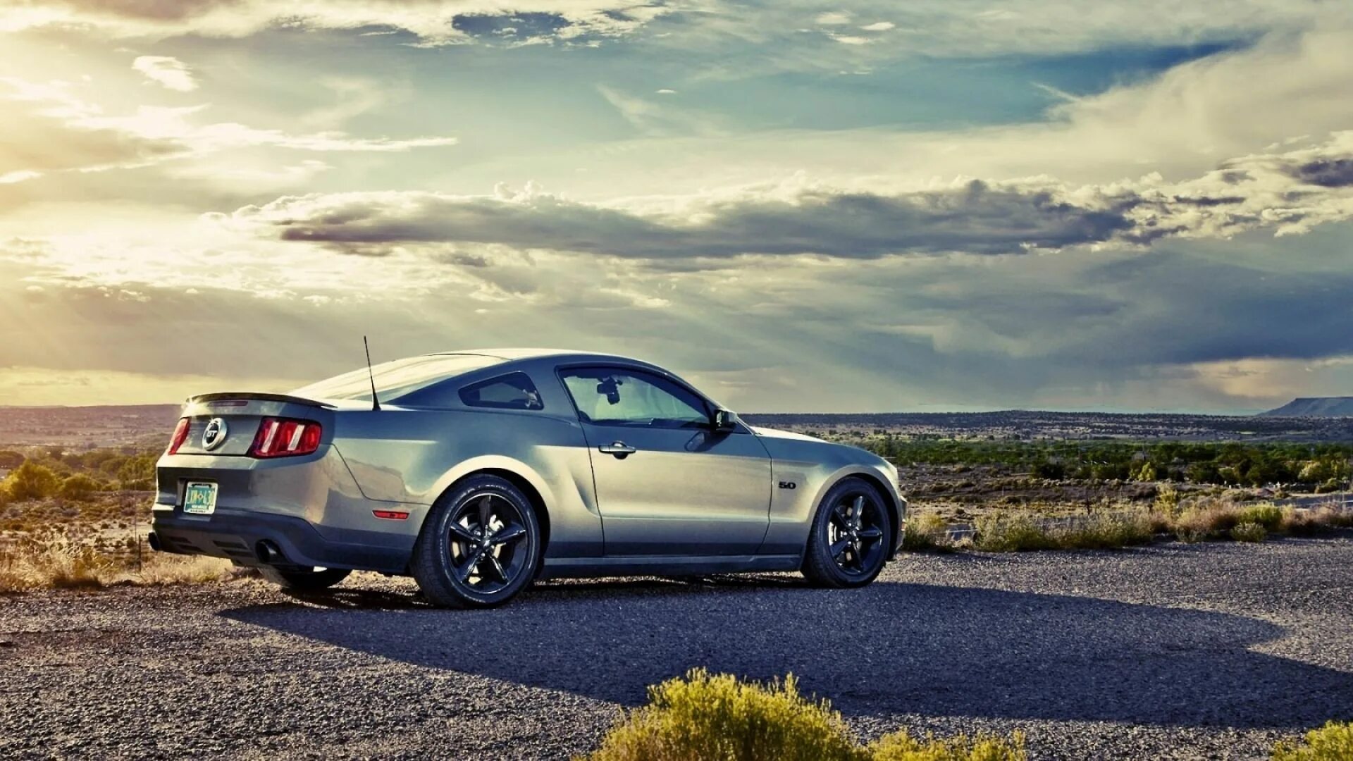 My f car