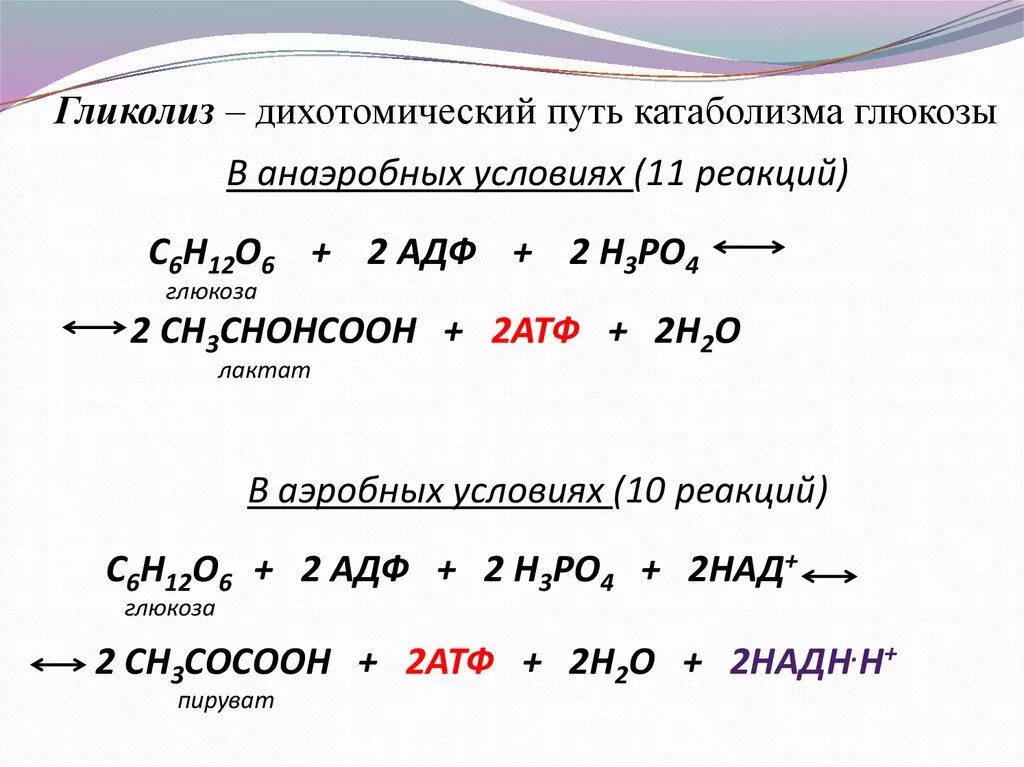 Уравнения реакций распада. Уравнение реакции бескислородного расщепления Глюкозы. Аэробный гликолиз формула. Суммарная реакция разложения Глюкозы. Гликолиз уравнение реакции.