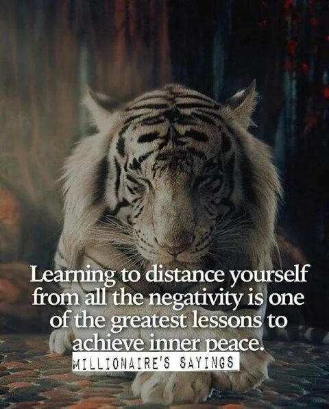 Основа всякой мудрости. Основа всякой мудрости есть терпение. Высказывания про терпение. Основа всякой мудрости. Терпение основа всякой мудрости.