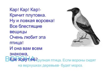 Стихотворение сидит ворон на суку