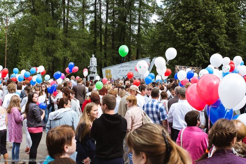 метеонова белая холуница