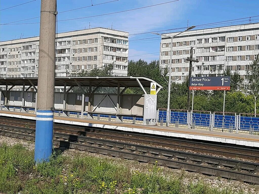 станция белые росы красноярск. электрички белые росы красноярск сегодня. пашенный красноярск белые росы. электрички белые росы красноярск сегодня. микрорайон белые росы красноярск.