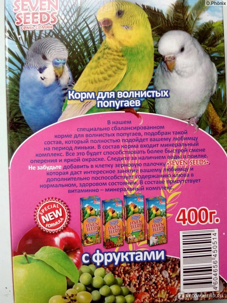 Чем кормить попугаев кроме корма. Фрукты овощи волнистый попугай. Фрукты для попугаев. Какие фрукты можно давать волнистым попугаям. Овощи для попугаев.