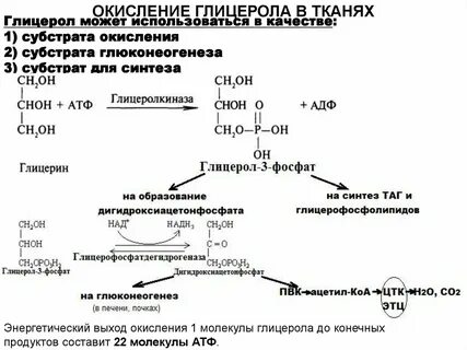 Окисление биохимия