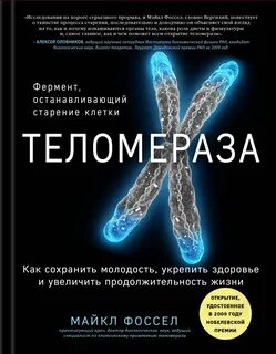Фермент теломеразы что это