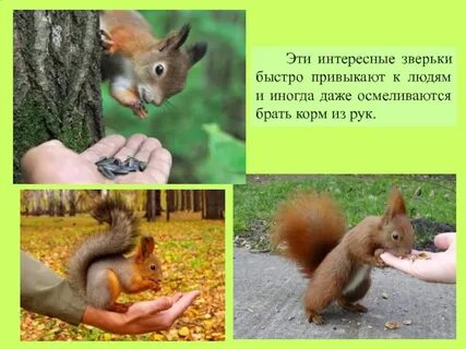 Интересно про белки