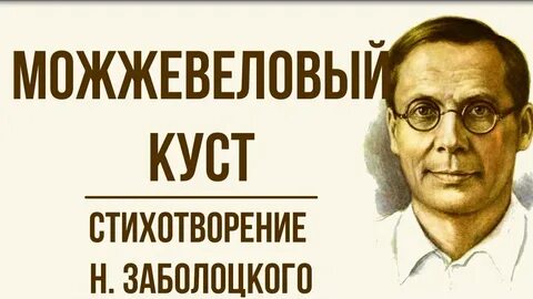 Заболоцкий сон