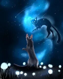 Коты воители звездные