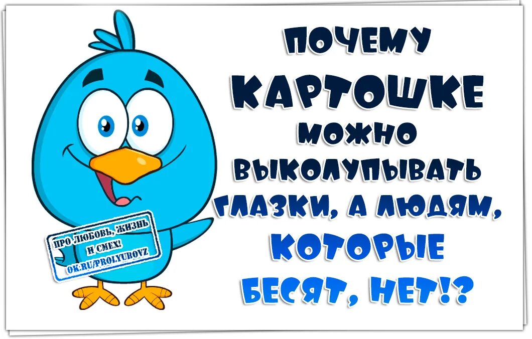 Выколупывать глазки. Почему картошке можно выколупывать глазки а людям которые. Почему картошке можно ВЫКОЛУП. Почему картошке можно выколупывать глазки а людям которые бесят нет. Почему картошке можно