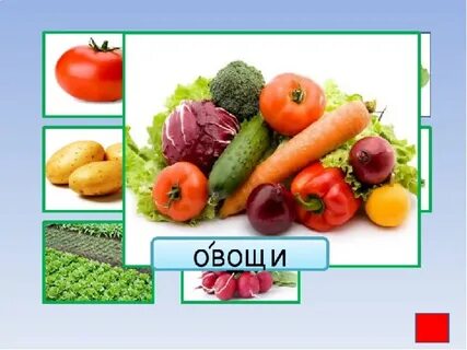 Слово овощ