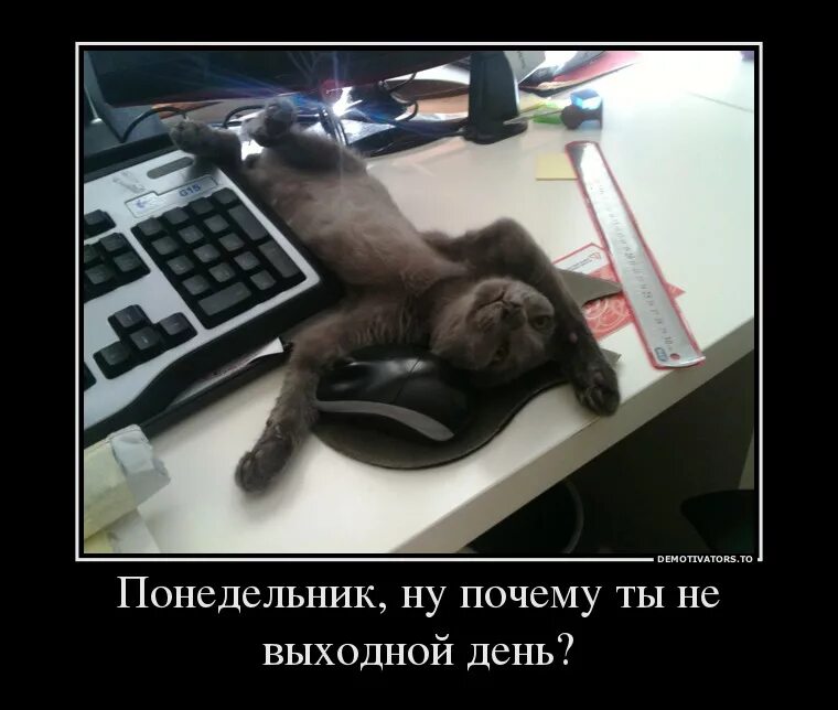 фразы про понедельник прикольные. ура снова понедельник. понедельник день тяжелый. цитаты про понедельник смешные. понедельник на работу прикольные.