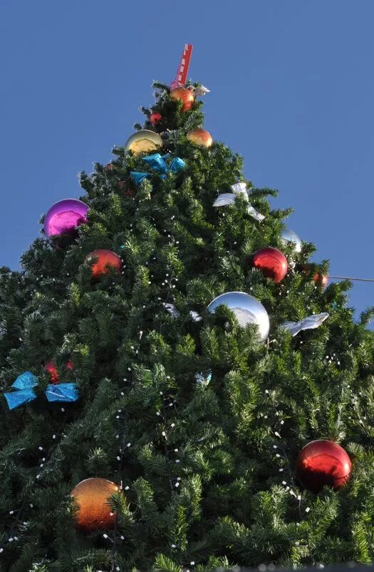 Красноярск новый год. Новогодняя елка. Май елка. Елка на дк 1 мая красноярск. Конкурс арт елка 2022.