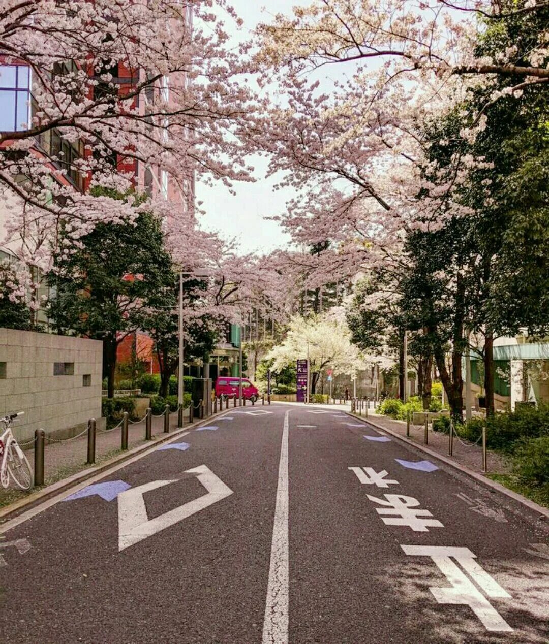 Yellow spring road япония. Южная Корея Эстетика. Улицы Сеула Эстетика. Корея Сеул Эстетика. Эстетика Корея улицы.