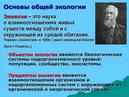 Аутэкология какой уровень
