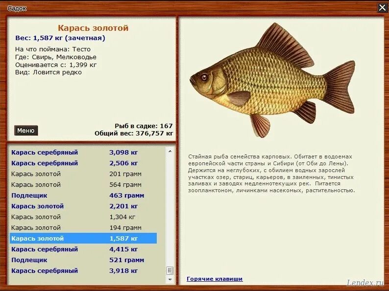 Когда можно начинать ловить карася. На что ловится карась. Рыбалка золотые караси. Русская рыбалка 3 Свирь. На что можно поймать карася.