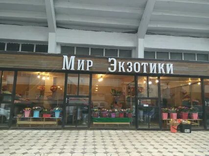 Малыгина махачкала