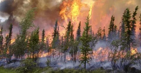 Many fires