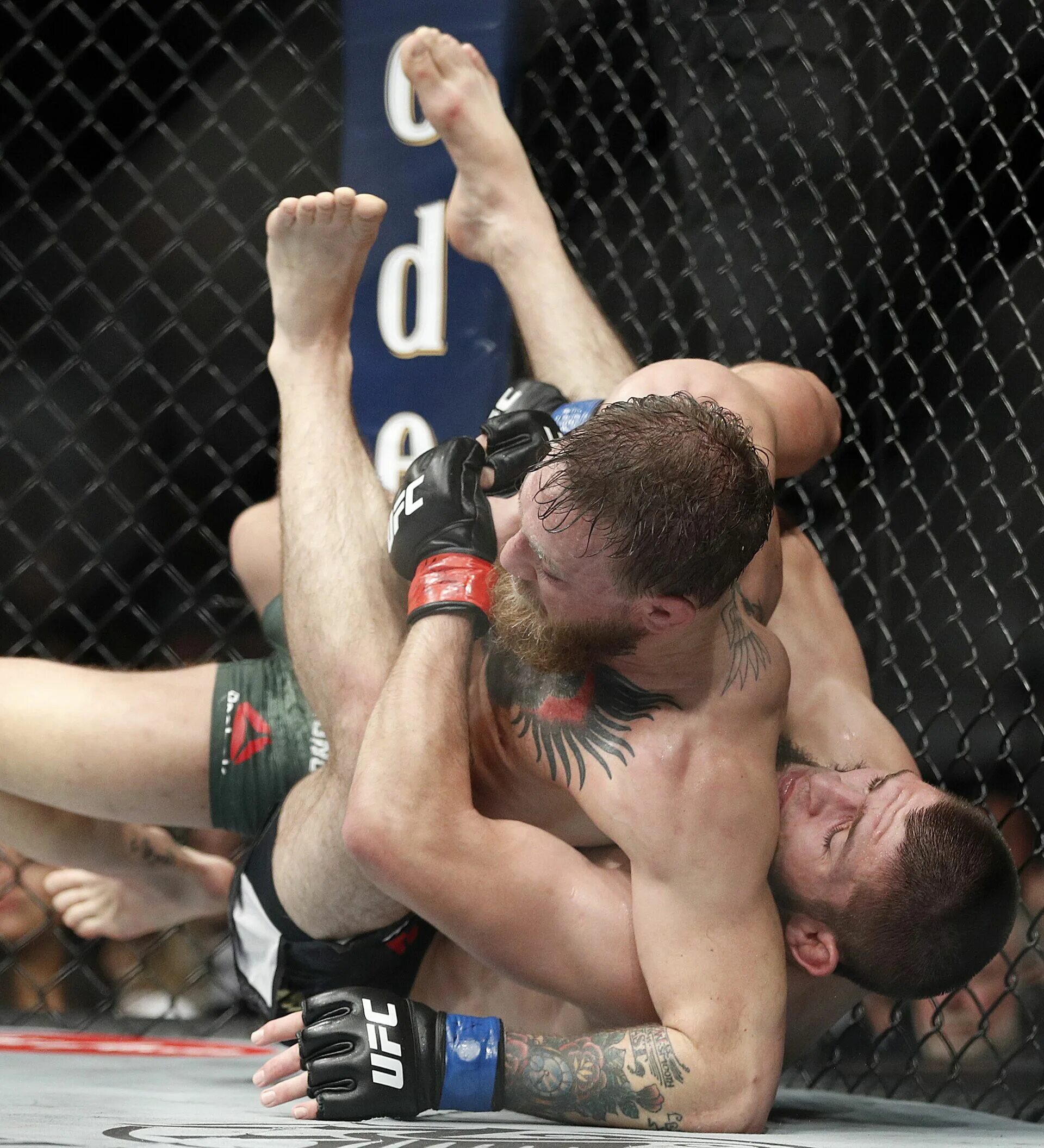 Конор макгрегор ufc 229. Время боя конора хабиба. Время боя конора хабиба. Время боя конора хабиба. Конор макгрегор ufc 229.