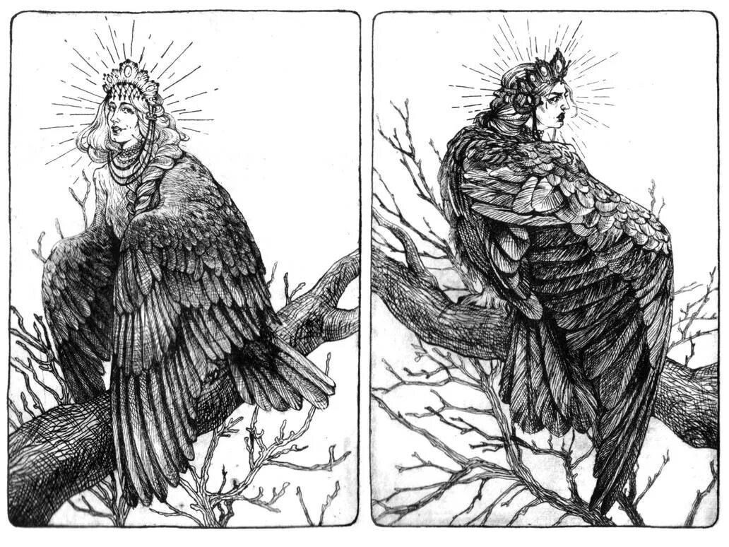 История шируя и сирин. Сирин и алконост картина. сирин васнецов. сирин и алконост тату. сирин алконост гамаюн.