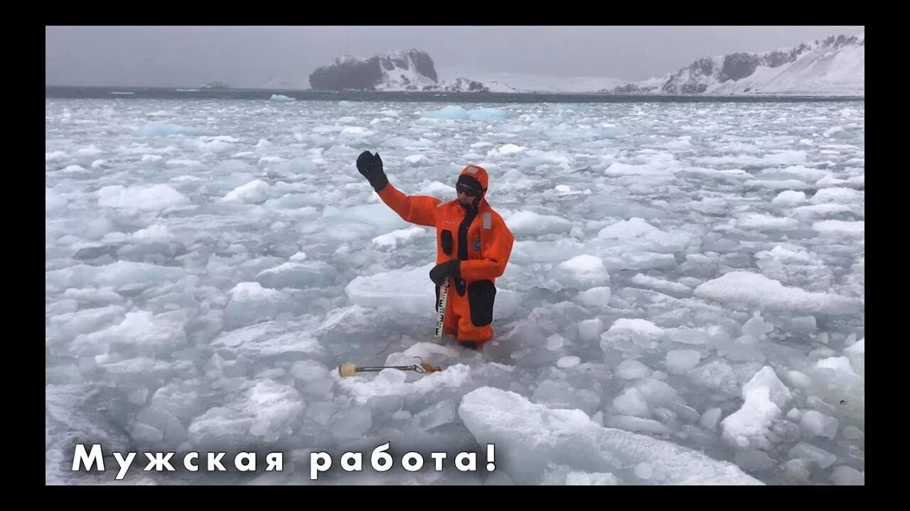 Антарктида работа вахта вакансии. Вахта в Антарктиду. Антарктида растаяла. Работа в Антарктиде вакансии. Антарктида оттаяла.