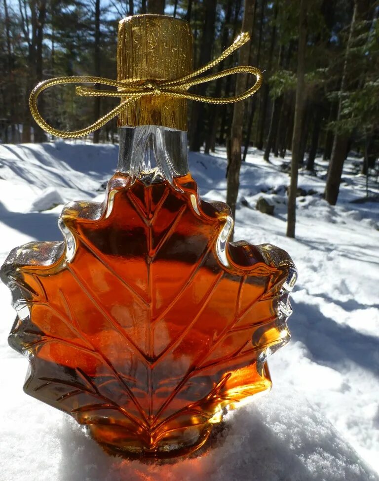 Полезные свойства кленового сока. Кленовый сироп Maple Syrup. Кленовый сироп Канада. Клен для кленового сиропа. Сироп канадский клен.