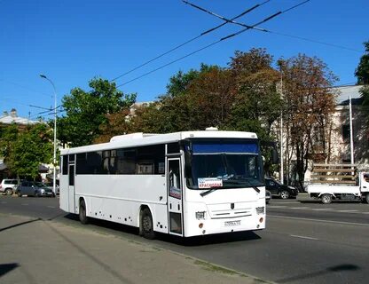 Белореченск краснодар автобус