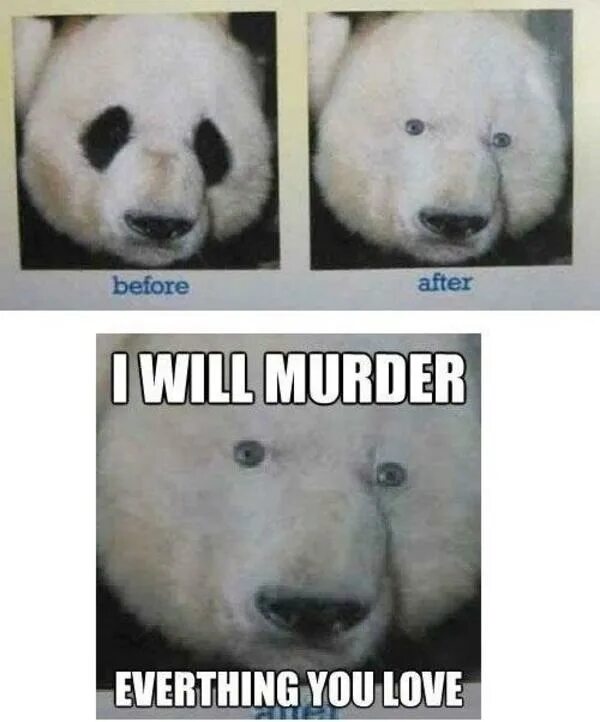 Панда без кругов. Панда без черных кругов. Панда без черных пятен. Панда без черных кругов вокруг глаз. Панда без черных пятен вокруг глаз.