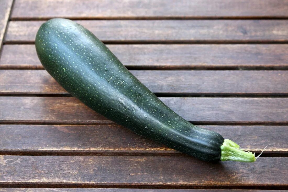Цукини. Цукини. Кабачок цуккини уголек. Цукини зеленый. Кабачок марселла f1.