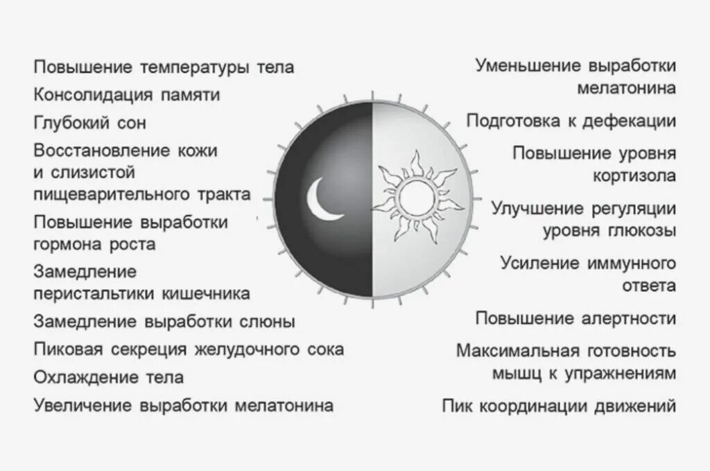 Тест какой ты сон
