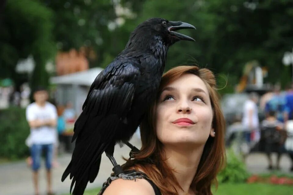 Тату ворона. Ворон тату реализм. Девушка ворона. Тату ворона на плече. Фотосессия с вороном.