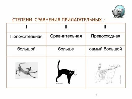 Сопоставление изображений