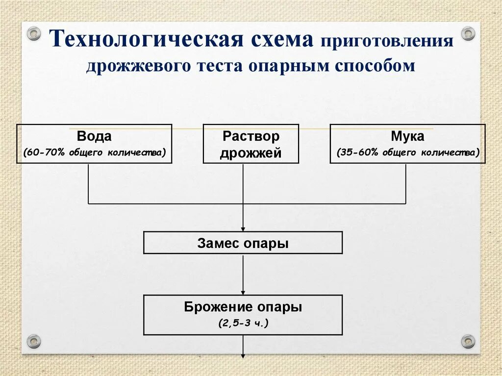 Безопарное тесто технология приготовления. Технологическая схема приготовления теста опарным способом. Технологическая схема теста опарным способом. Технологическая схема приготовления дрожжевого опарного теста. Тесто дрожжевое технологическая смеха.