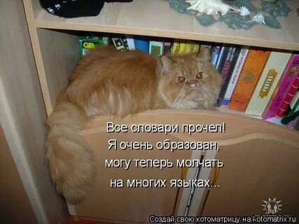 Теперь придется