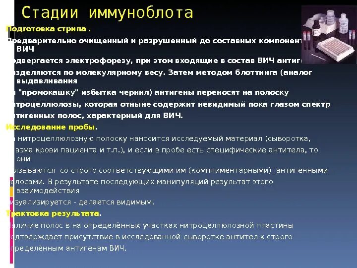 Иммуноблоттинг иммунология. Этапов реакции иммуноблоттинга. ИФА И иммуноблоттинг. Отличие ИФА от иммуноблоттинга. Иммунный блоттинг