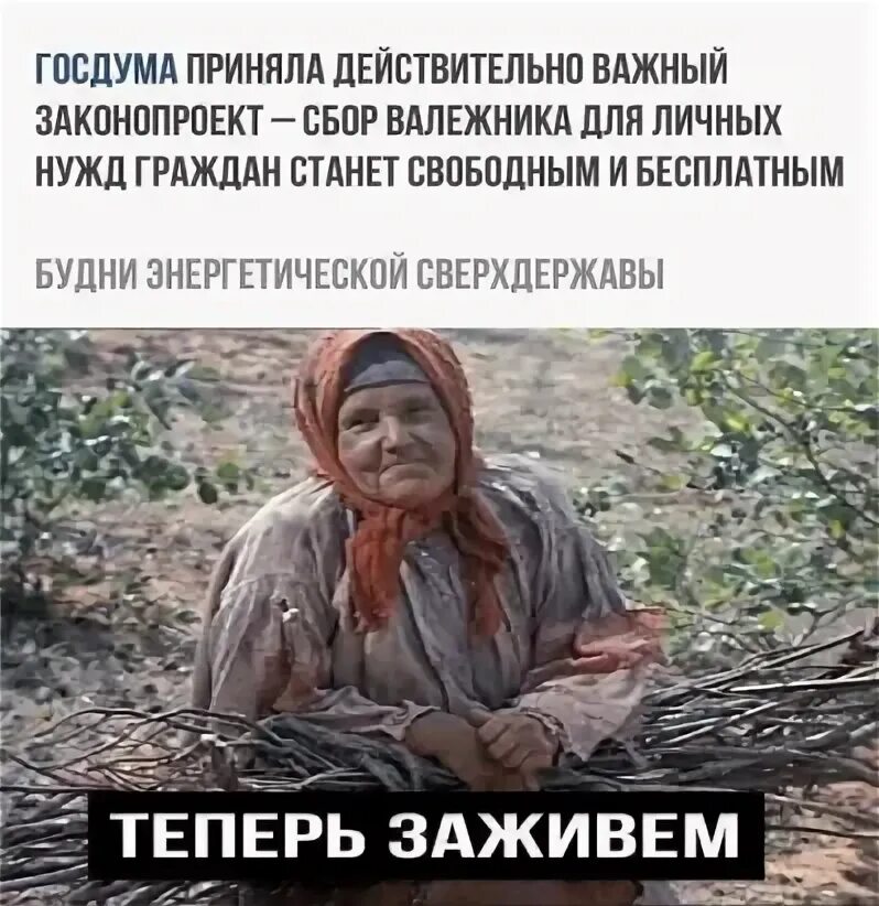Сейчас заживем. Сбор валежника прикол. теперь заживем. новости прикол. ну теперь заживем мем.