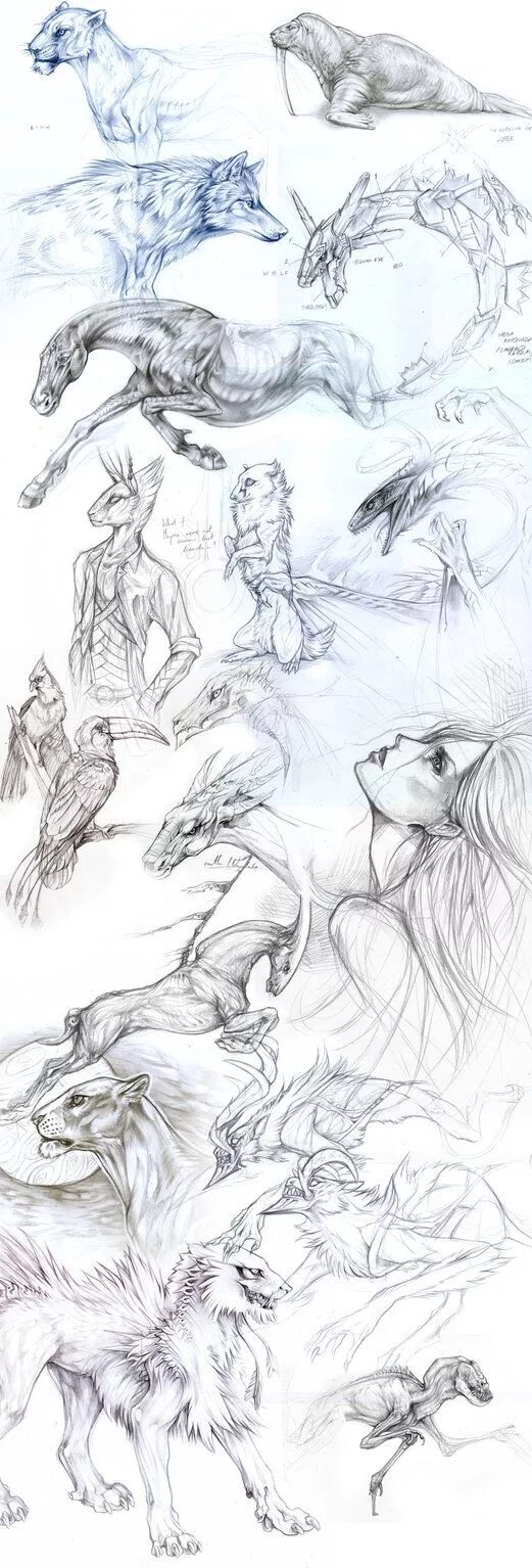 Animal Drawing - 75 Picture Ideas Dibujos, Bocetos artísticos, Dibujos terrorífi