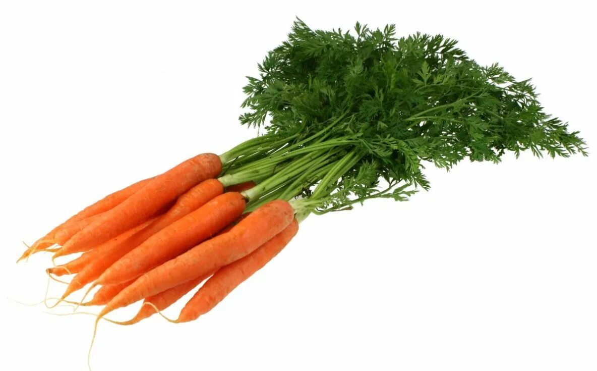 Carrot vegetable. Морковь на белом фоне. Морковь на прозрачном фоне. Овощи на белом фоне. Морковка на белом фоне.