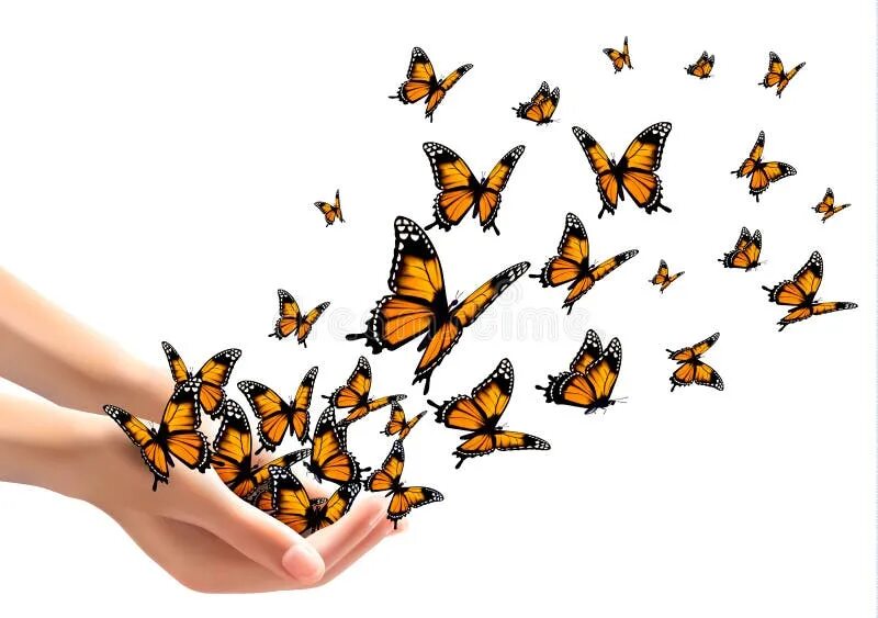 Бабочки вылетают из рук. На руку бабочка. Бабочки вылетают из ладоней. Девушка и много бабочек. Бабочка над головой