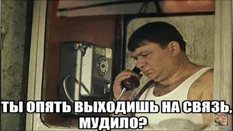 Выходить на связь через месяц