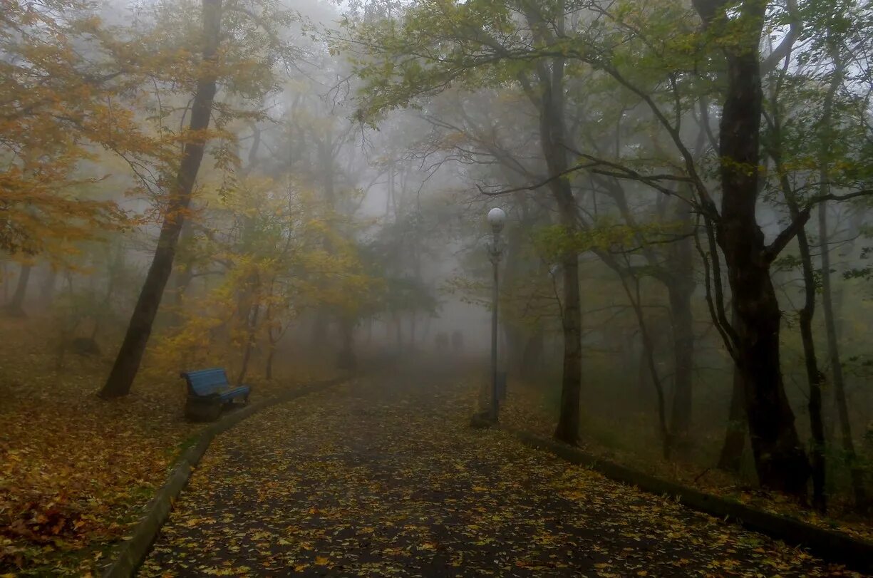 Железноводск осень. Железноводск осенью. Железноводск в октябре. Железноводск в октябре фото. Железноводск октябрь