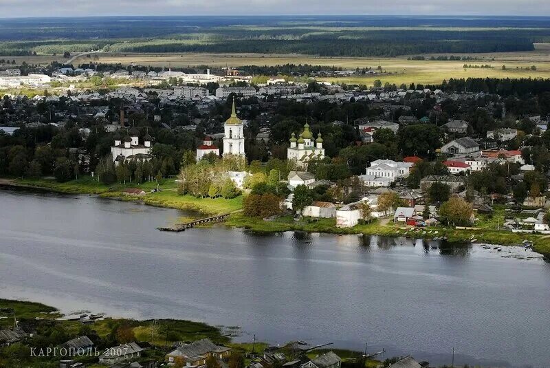 Численность онеги