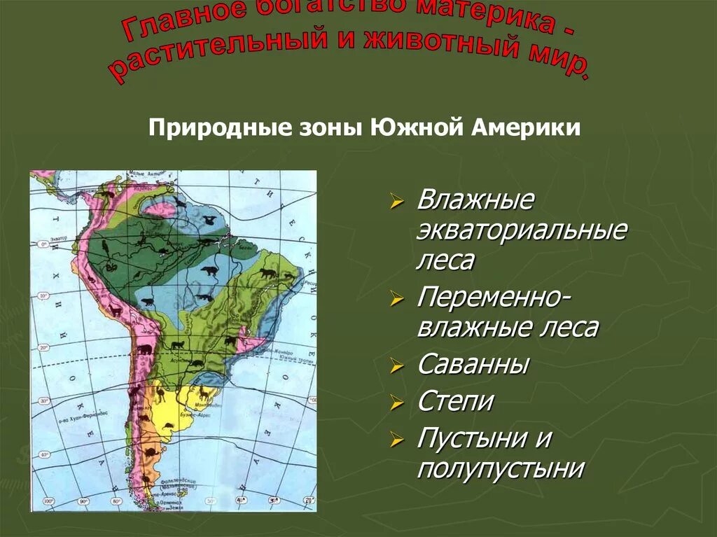 Природные зоны и их основные особенности америки. Карта природных зон Южной Америки. Природные зоны Южной Америки 7 класс. Природные зоны материка Южная Америка. Карта природных зон Южной Америки 7 класс география.