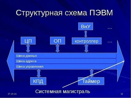 Структурная схема шины