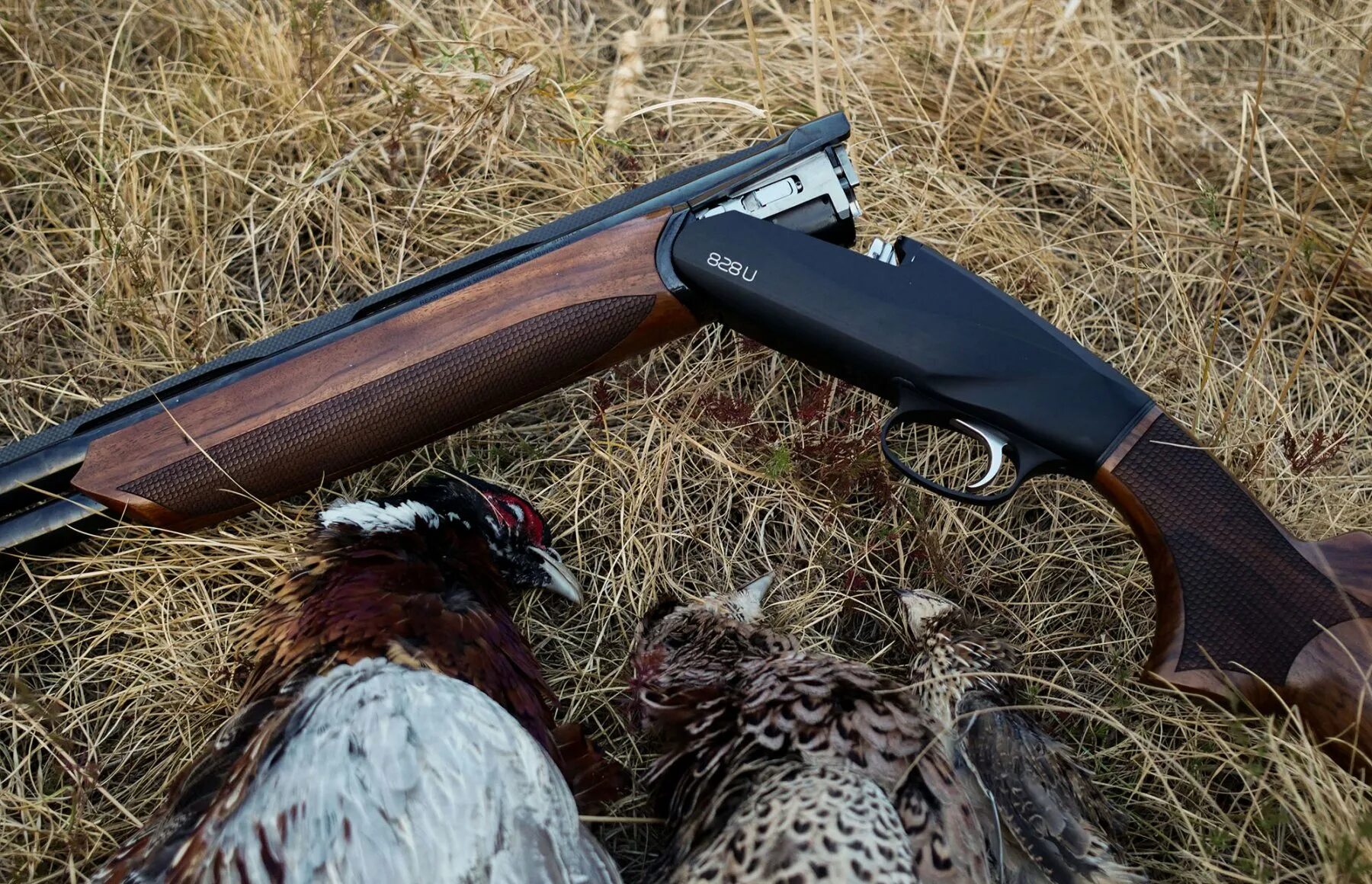 Бенелли 828 u. Вертикалка Benelli 828u. Бенелли вертикалка 12. Бокфлинт Бенелли 828. Вертикалки для охоты