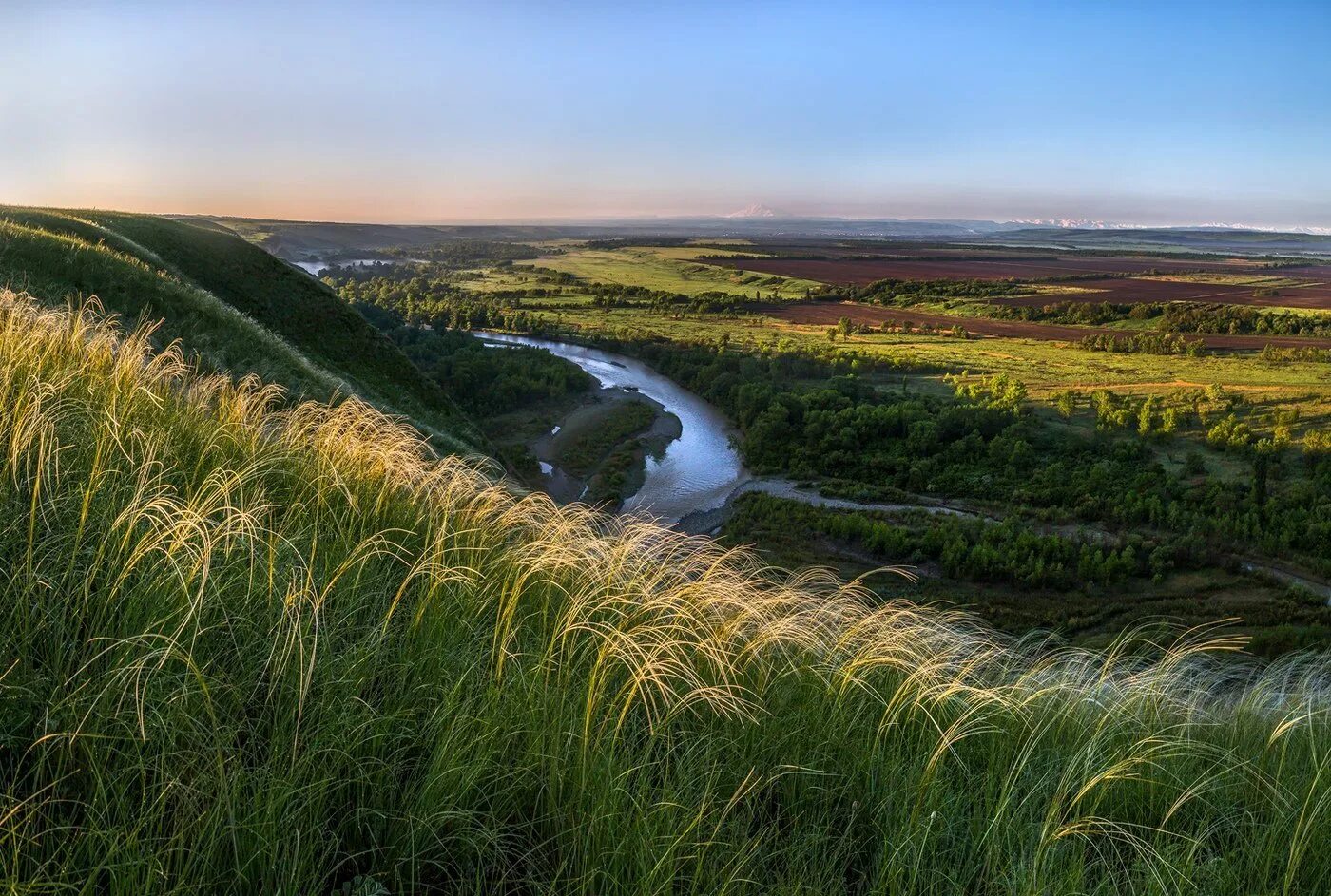 Ковыль Донской край. Река Кубань Ставропольский край. Ковыль в Ростовской области. Ковыль Ставропольского края. Ростовская обл краснодарский край