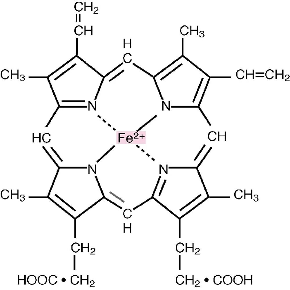 Протопорфирина IX. Протопорфирин 9 формула. Строение протопорфирина IX. Структура протопорфирина 9.