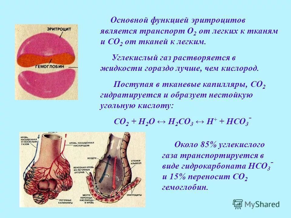 Природной кислотой является