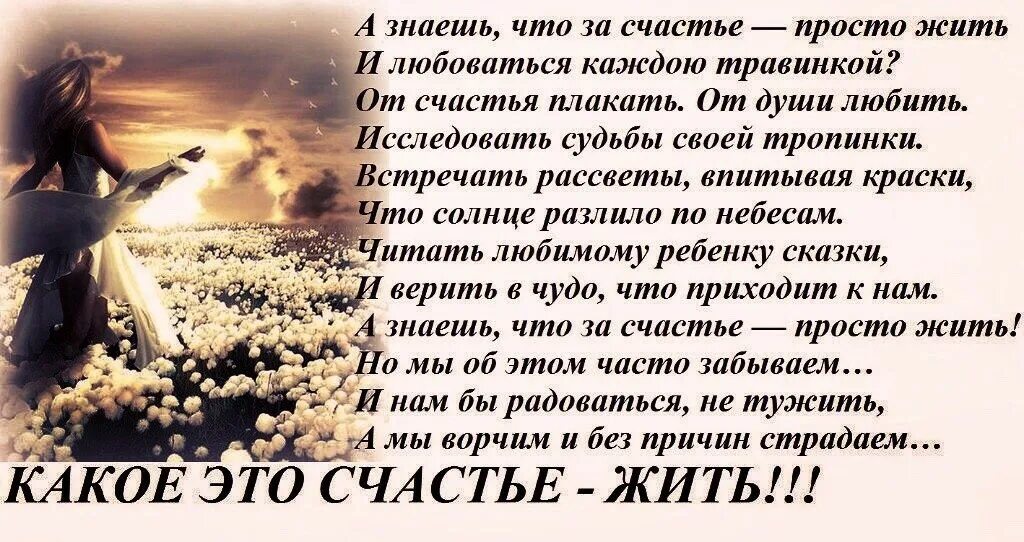 Просто жизнь стихи